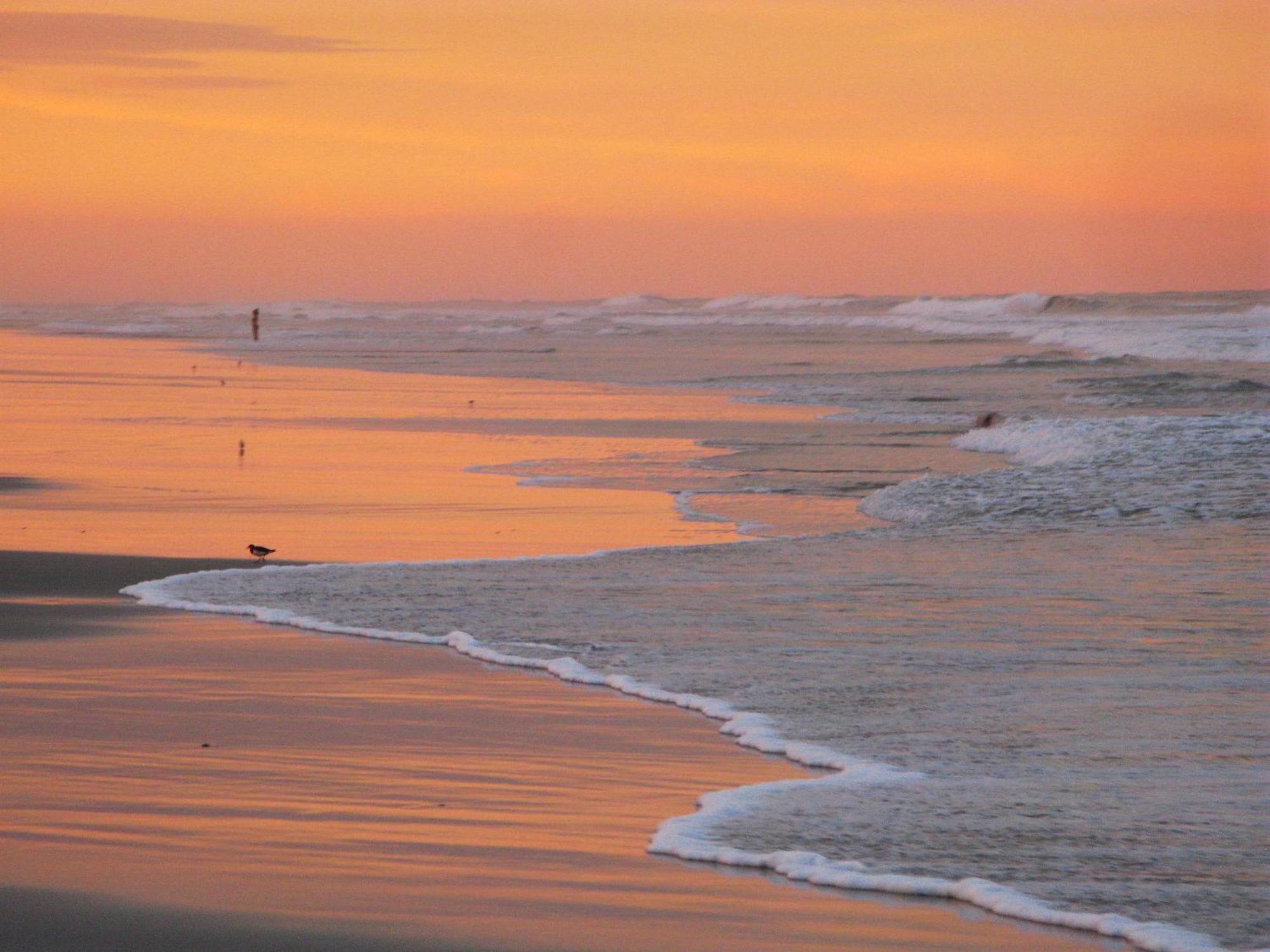 Guy Harvey Resort On Saint Augustine Beach Bagian luar foto